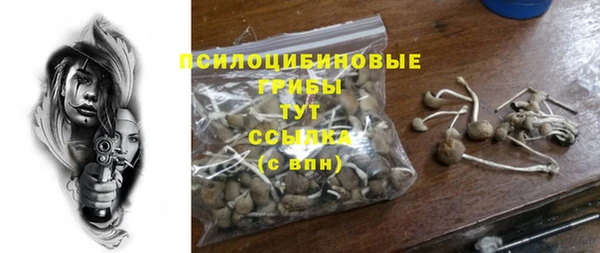 стаф Баксан