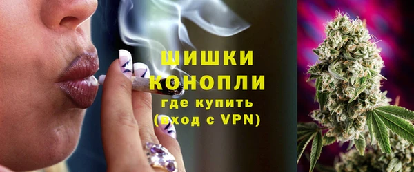 стаф Баксан