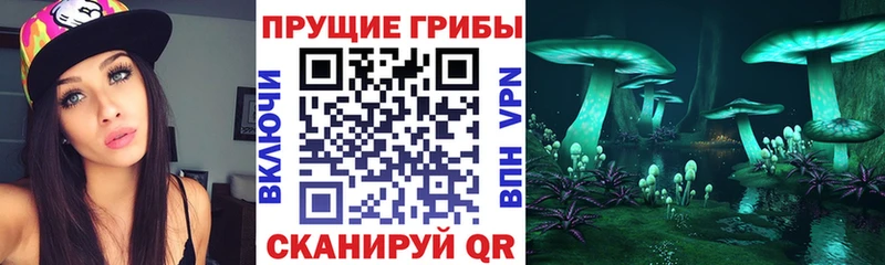 Галлюциногенные грибы мицелий  Наро-Фоминск 